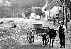 Dartmouth: Dittisham, Devon