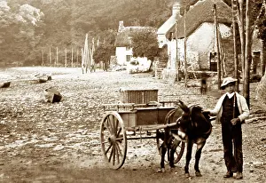 Dartmouth: Dittisham, Devon