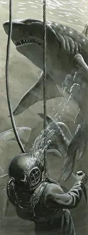 Sharks: The Last Dive