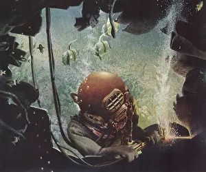 Swimmers: Diver cleaning Harbor