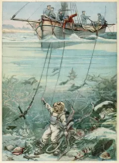 Periodically: Diver and Octopus