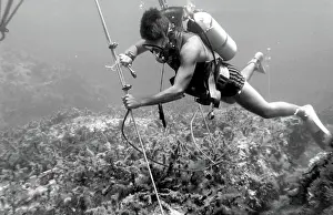 Shackle: Diver with underwater house off the coast of Malta