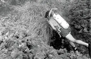 Flippers: Diver underwater off the coast of Malta