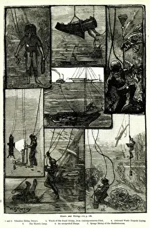 Divers: Divers and Diving