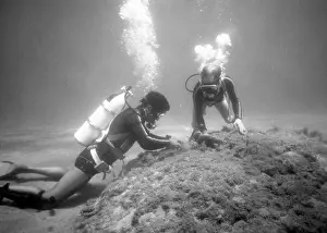 Canister: Divers on the seabed off the coast of Malta