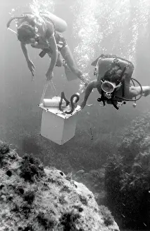 Canister: Divers underwater off the coast of Malta