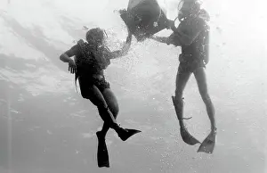 Divers underwater off the coast of Malta