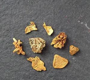 Diverse: Diverse gold nuggets
