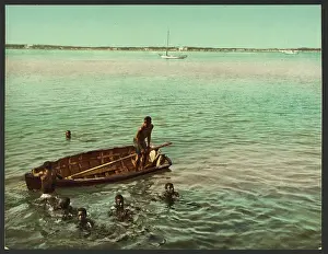C1901: Diving for coins, Nassau, Bahama Isl'ds
