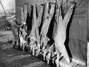 Gillingham: Diving suits hung up to dry