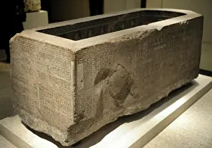 Sarcophagus: Djehapimu sarcophagus case. Egypt