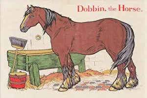 Dobbin: Dobbin the Horse