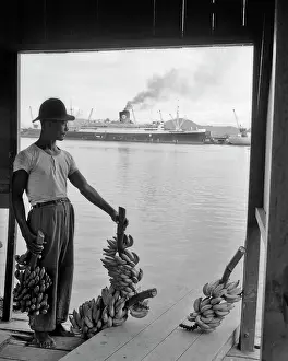 Rge001: Dock Worker Man Anonymous Silhouetted Standing