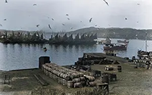 Fishwives: Docks at Barra, Outer Hebrides, Scotland