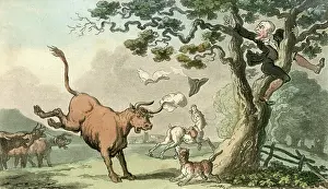 Menaced: Doctor Syntax pursued by a bull