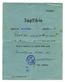 Wilhelminian: documents, certificate of vaccination for Karl