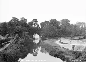 Dodder: On the Dodder, Co. Dublin