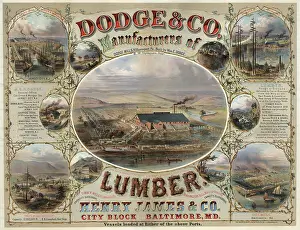 Lumber: Dodge & Co. Manufacturers of lumber