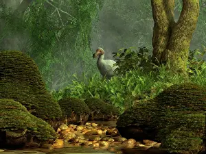 Pigeon: A Dodo bird hides in a dense jungle near a stream