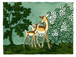 Fawn: Doe and fawn with oak tree and bush