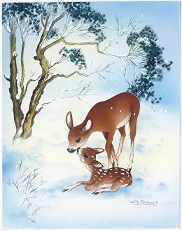 Schermele: Doe and Fawn in the snow