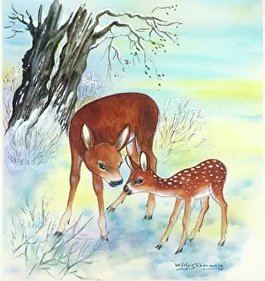 Schermele: Doe and Fawn in the snow