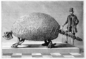 Doedicurus: DOEDICURUS