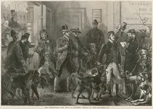 Quarantine: DOG SHOW IN 1865