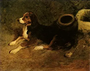 Canines: Dog