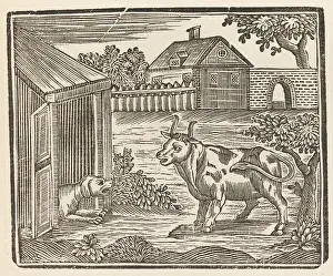 Barks: DOG BARKS AT COW