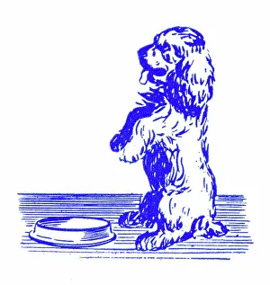 Begging: Dog begging for meal - 1950s printer's block