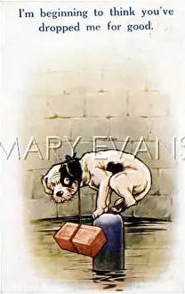 Disconsolate: DOG AND BRICK