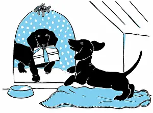 Willing: Dog bringing parcel to dog in kennel