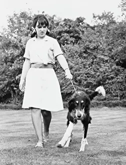 Mended: DOG WITH BROKEN LEG