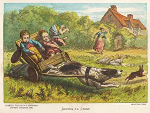 Imminent: DOG CART ACCIDENT