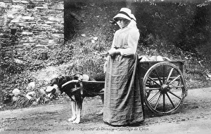 Panting: DOG AND CART AND MAID
