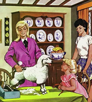 Clippers: The Dog Clipper
