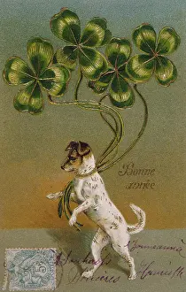 Clovers: DOG AND CLOVER