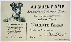 Posh: DOG COLLAR MAKER