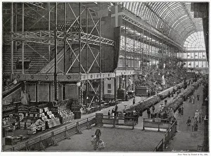 Sydenham: Dog Show at Crystal Palace