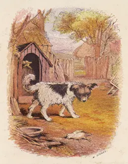 Nervously: DOG AND DEAD BIRD