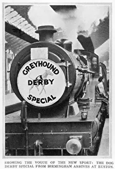 Greyhounds: The Dog Derby special train from Birmingham