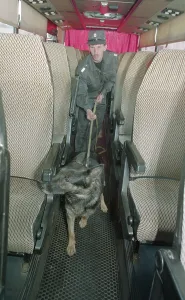 Militia: Dog-detective