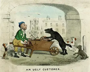 Demanding: DOG AND DOGS MEAT MAN