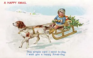 Outings: Dog-Drawn Sleigh