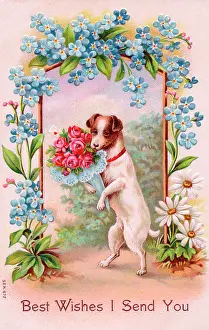 Forgetmenot: Dog with flowers on a greetings postcard