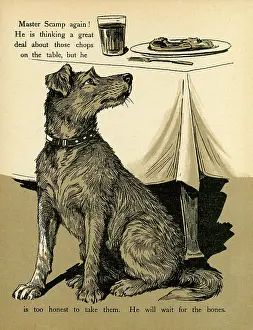 Smells: DOG AND FOOD SMELLS