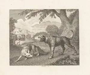 John Gay: The Dog and the Fox