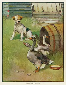 Invaded: DOG AND GEESE