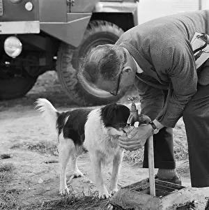 Standpipe: Dog Getting A Drink